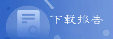 维普报告下载